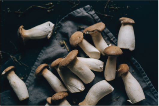 Mushrooms