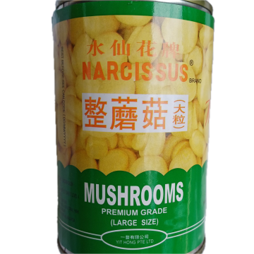 NARCISSUS BRAND - Mushrooms Premium Grade (Large Size-425g)