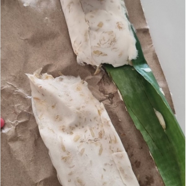 Tempeh