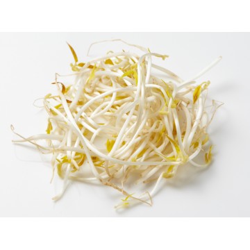 Taugeh (Beansprouts) - 250g