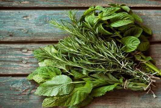 Fresh Herbs