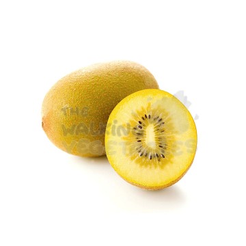 Zespri Gold Kiwi (1 Piece)