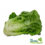 Fruits & Vegetables