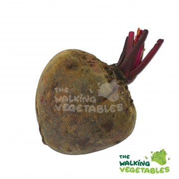 甜菜根 / Beetroot (250-350g)