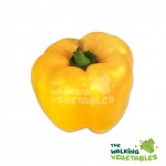 Fresh Vegetables