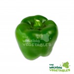 Fresh Vegetables