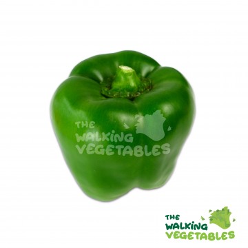 青灯笼椒 / Green Capsicum (150-250g)