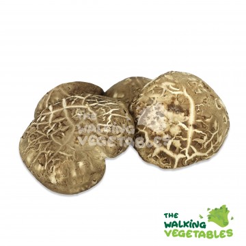 花菇 / Shitake Mushroom (150g)