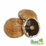 Mushrooms