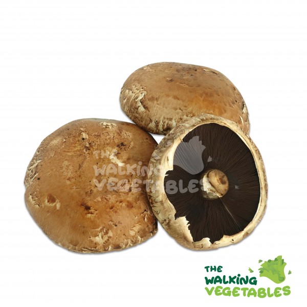 Mushrooms