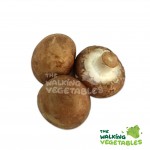 Mushrooms