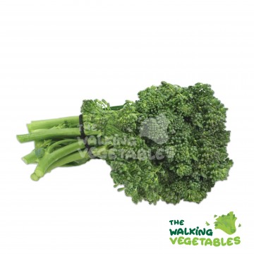 兰花台 / Australia Baby Broccoli (1 Bundle)