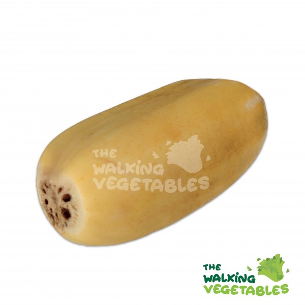 Fruits & Vegetables