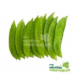 Fresh Vegetables