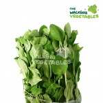 Fruits & Vegetables