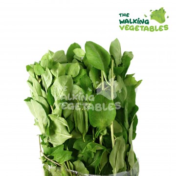 枸杞菜 / Kaukee / Wolfberry (1 Packet -250g)