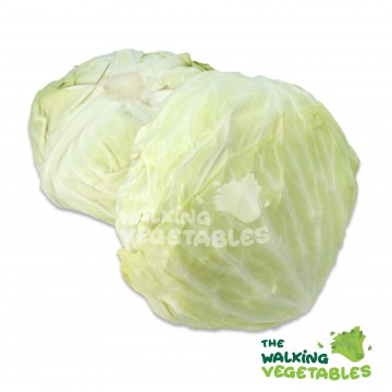 包菜（金) / CAMERON HIGHLANDS Cabbage (700-800g)