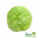 Cabbage & Flower Vegetables
