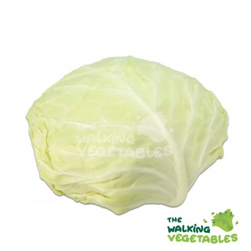 包菜（印尼）/ Indonesia Cabbage (1300-1400g)