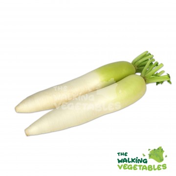 白萝卜/ White Radish (700-800g)