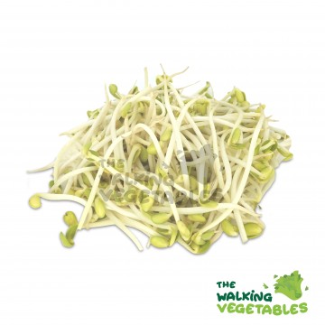 Broad Taugeh (250g)