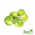 Fruits & Vegetables