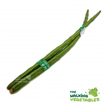 Drumstick / SuThou (200-300g)