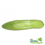 Fresh Vegetables