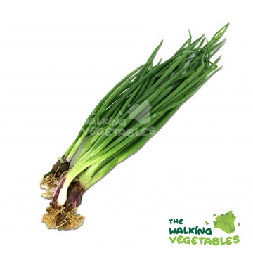青葱 / Spring Onion (100g)
