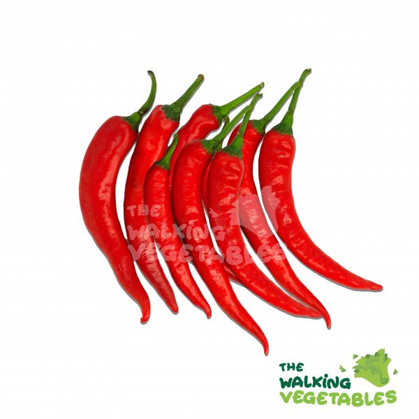Fresh Vegetables