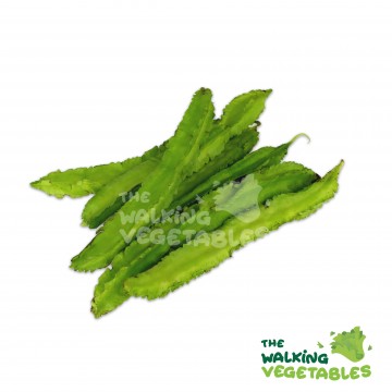 四方豆 / Four Angle Bean (120g)