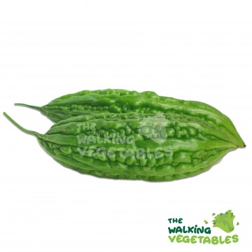 小苦瓜 / Baby Bitter Gourd (300-400g)