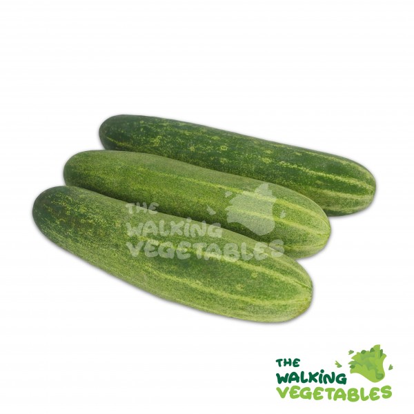 Fresh Vegetables