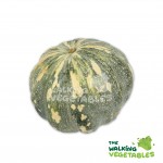 Fresh Vegetables
