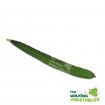 Fresh Vegetables