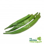 Fresh Vegetables