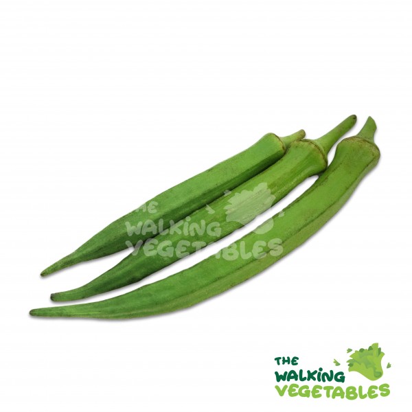 Fresh Vegetables