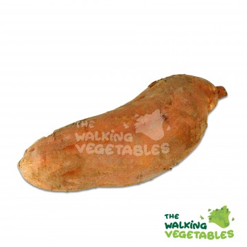 番薯 /  Malaysia Sweet potato (450-550g)