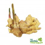 Root Vegetables