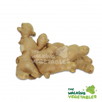 老姜（T）/ Thailand Old Ginger (250g)