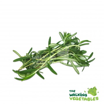 Rosemary (10g)