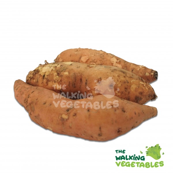 Fruits & Vegetables