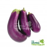 Fruits & Vegetables