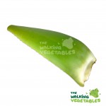 Fresh Vegetables