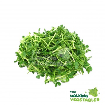 豆苗（中）/ CAMERON HIGHLANDS Dou Miao (200g)