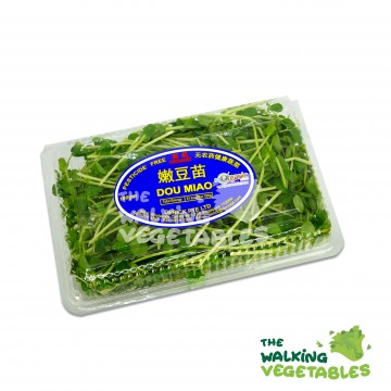 豆苗（合）/ Baby Dou Miao (1 Packet)