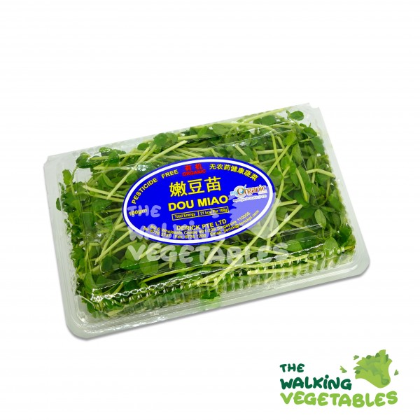 Fresh Vegetables