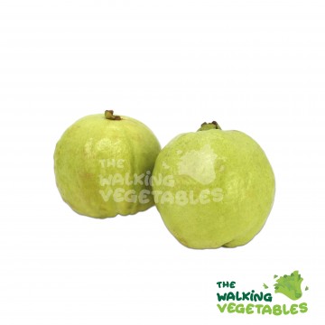 Guava / Fan Se Liu (400-500g)