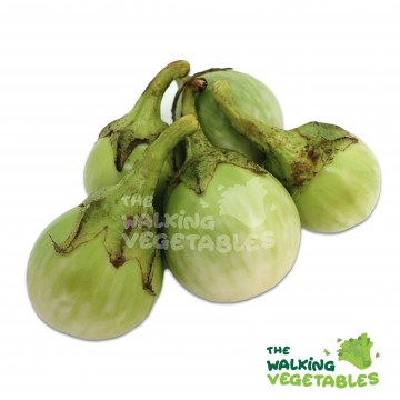 Green Round Eggplant (250-350g)