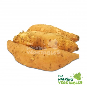 番薯（印尼) / Indonesia Honey Sweet Potato (1 Packet-500g)